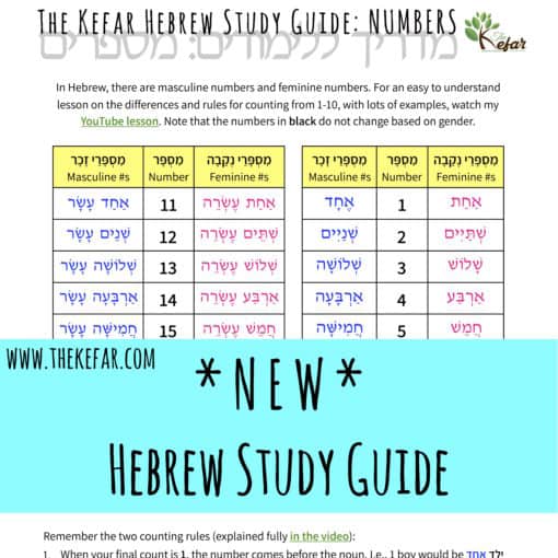 New Kefar Hebrew Study Guide - Numbers - The Kefar