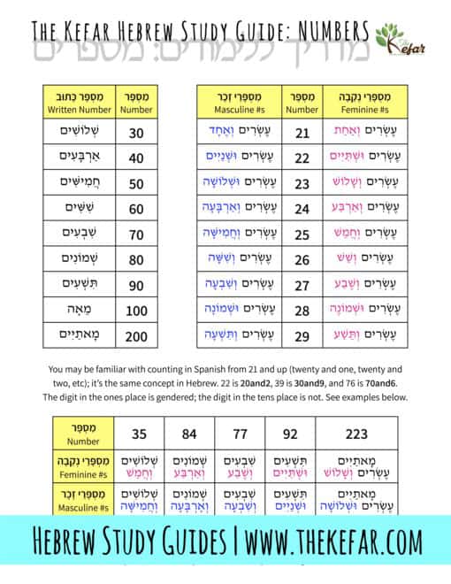 New Kefar Hebrew Study Guide - Numbers - The Kefar