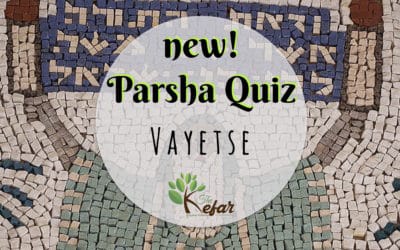 New Kefar Freebie! Vayetse Parsha Quiz