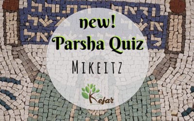 New Kefar Freebie! Mikeitz Parsha Quiz