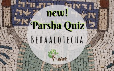 Kefar Parsha Quiz – Parashat Behaalotecha