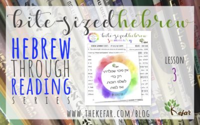 Bite-Sized Hebrew Lesson #3 { htr series }