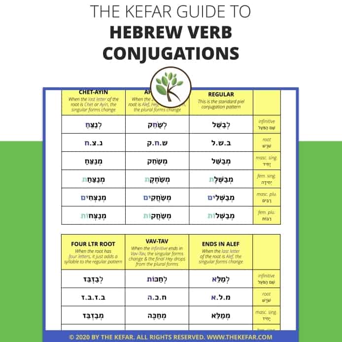 Conjugation Clinch 🔸 Verb in all tenses and forms